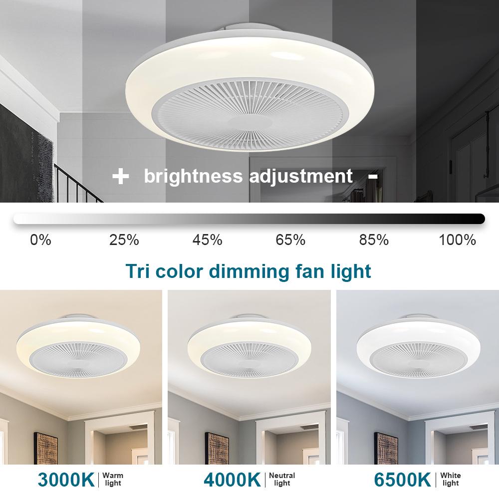 Smart Silent Ceiling Fan Light for Living Room and Bedroom