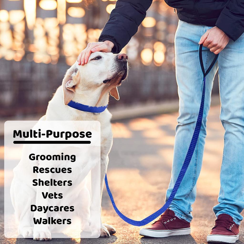 Durable Dog Nylon Slip Rope Leash, Strong Pet Slip Lead, Adjustable Pet Slipknot Neck Circumference for Training Play Camping