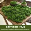 Biomimetic Artificial Moss Mats Indoor Outdoor Decor Realistic Fake Grass Turf Micro Landscape Bonsai Office Natural Aesthetic