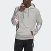 Adidas Retro Terry Hoodie Men Hoodie Grey GN3571