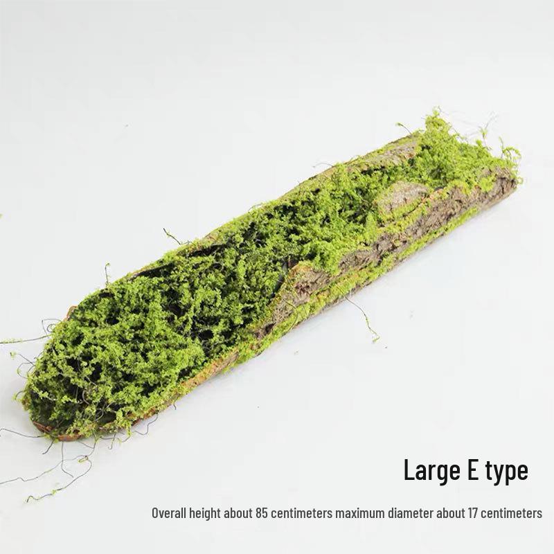 Artificial Moss Turf Carpet for Indoor & Outdoor Decoration