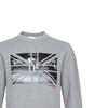 Sweatshirts Men's Light Heather Gray Crew Neck Moderate Regular 80166921