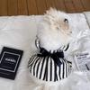 Spring Summer Dog Dress Hepburn Style Big Bow Traction Skirt Teddy Bigbear Small Dog Pet Clothes