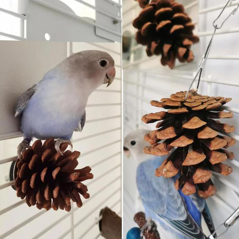 Natural Wood Pine Cones Pet Parrot Toy Bird Biting Exercise Climbing Standing Wooden Toys Pet Parrot Macaw Hammock Bird Toy