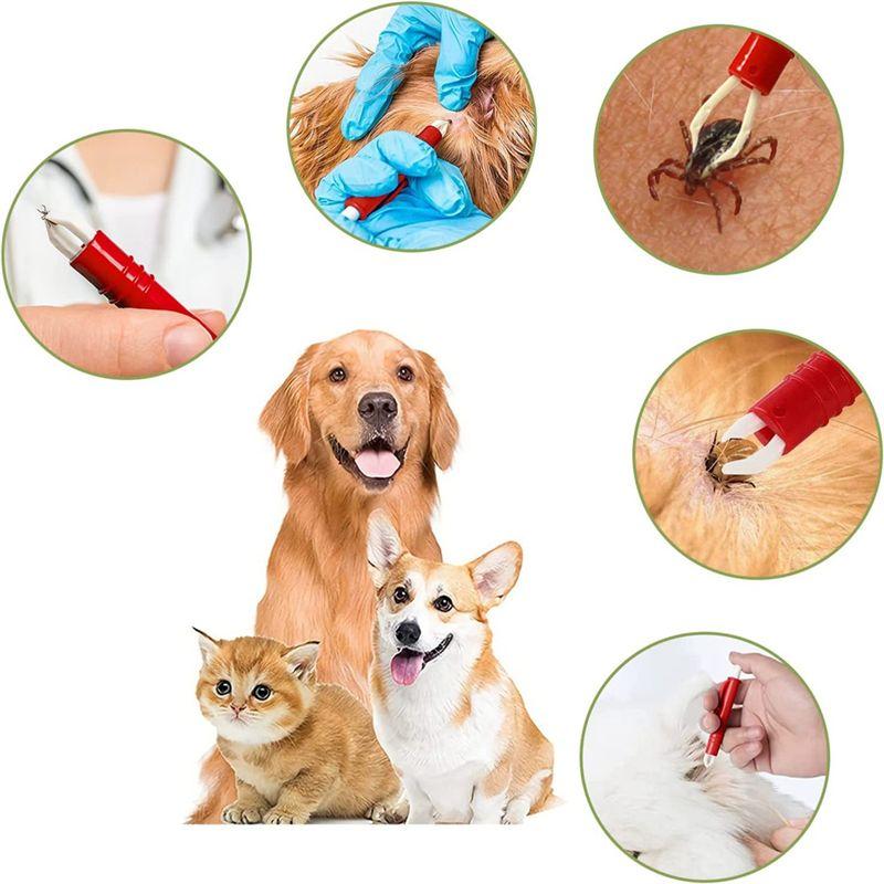 M-Modern-24PCS Tick Tweezers For Dog Cats Humans Tick Tweezers For Children And Pets, Simple And Safe Tick Remover