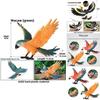 Wildlife Animal Model Solid Plastic Parrot Bird Display Figure For Kids Playroom Decor