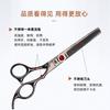 Professional Pet Grooming Scissors Set Dogs Cats Stainless Steel 7 Inch Flat Tooth Curved Tip With Comb Cloth Case
