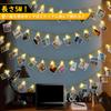 LIHAO Photo Clip Photo Decoration Light 5M 50 Bulbs Birthday Light Wall Hanging Photo Art Collage Memo Clip LED String Light Decoration Decoration