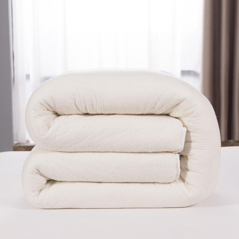 Jinxi Xinjiang Cotton Quilt