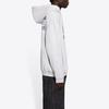Sweatshirt Regular Fit Men's Light Gray 600583TJVK41167