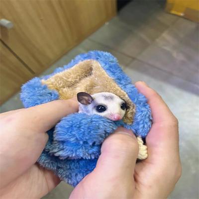 Mini Portable Carrier Bag Comfortable Breathable Drawstring Design Outing Bag For Hamster Chinchilla