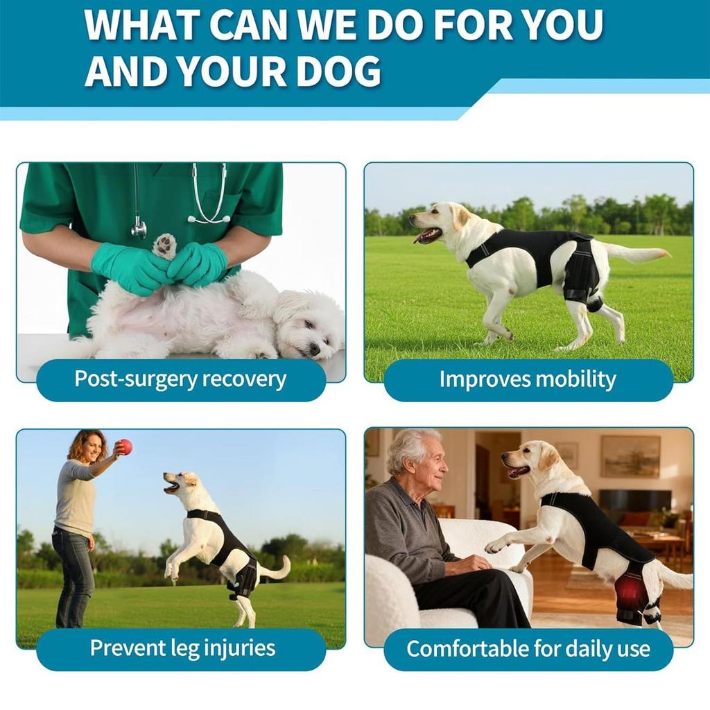 Knee Brace For Dogs Adjustable Knee Wrap Dog Back Leg Support With 4 Metal Stabilizers For Hiking Exercise Outdoor Activities