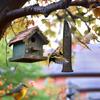 Finch Sock Feeder for Outdoor Hanging Thistle Seeds Feeder Sacks with Funnels Birds Food Supply Tool for Garden Yard Wild Finch Feeding