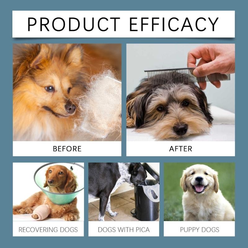 Minerals Supplement Tablets for Dogs 80 Tablets Support Healthy Growth and Daily Nutrition Need Immune Improve