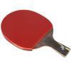 DHS Wang Liqin WANG-S Table Tennis Bat Gift Set