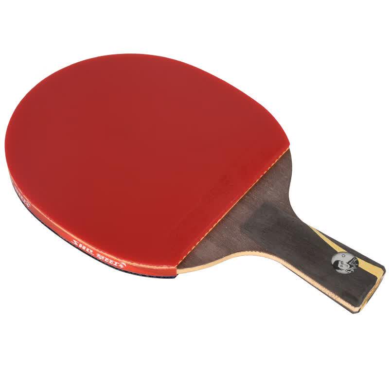 DHS Wang Liqin WANG-S Table Tennis Bat Gift Set