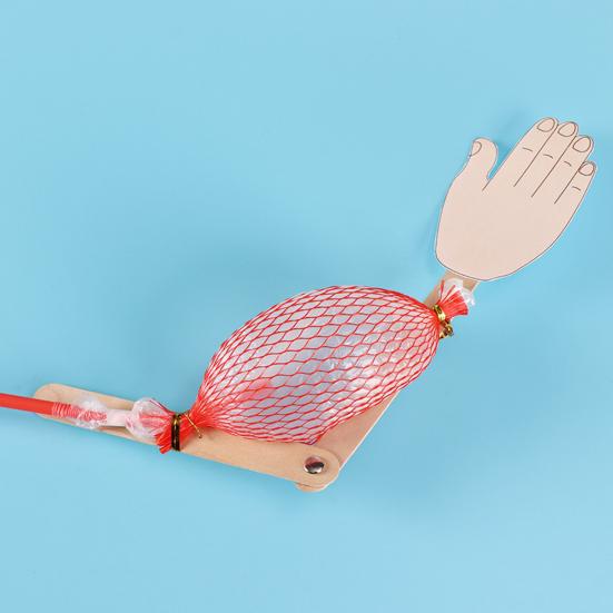 1 Set DIY Bone Muscle Model Kit Handmade Wooden Puzzle Human Arm