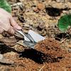 Stainless Steel Gardening Tool Small Hand Rake Trowel Garden Tool for Potted Plants Balcony Planting Transplanting Loosening Soil
