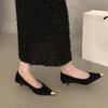 Fashion 2025 New French Pointed Toe  Temperament Shallow Mouth Single Shoes Women's Spring and Autumn New Suede Stiletto Shoes