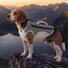 Sun Protection Pet Cooling Shirt Breathable Dog Sunscreen Clothes Dog Cooling Vest  Walking