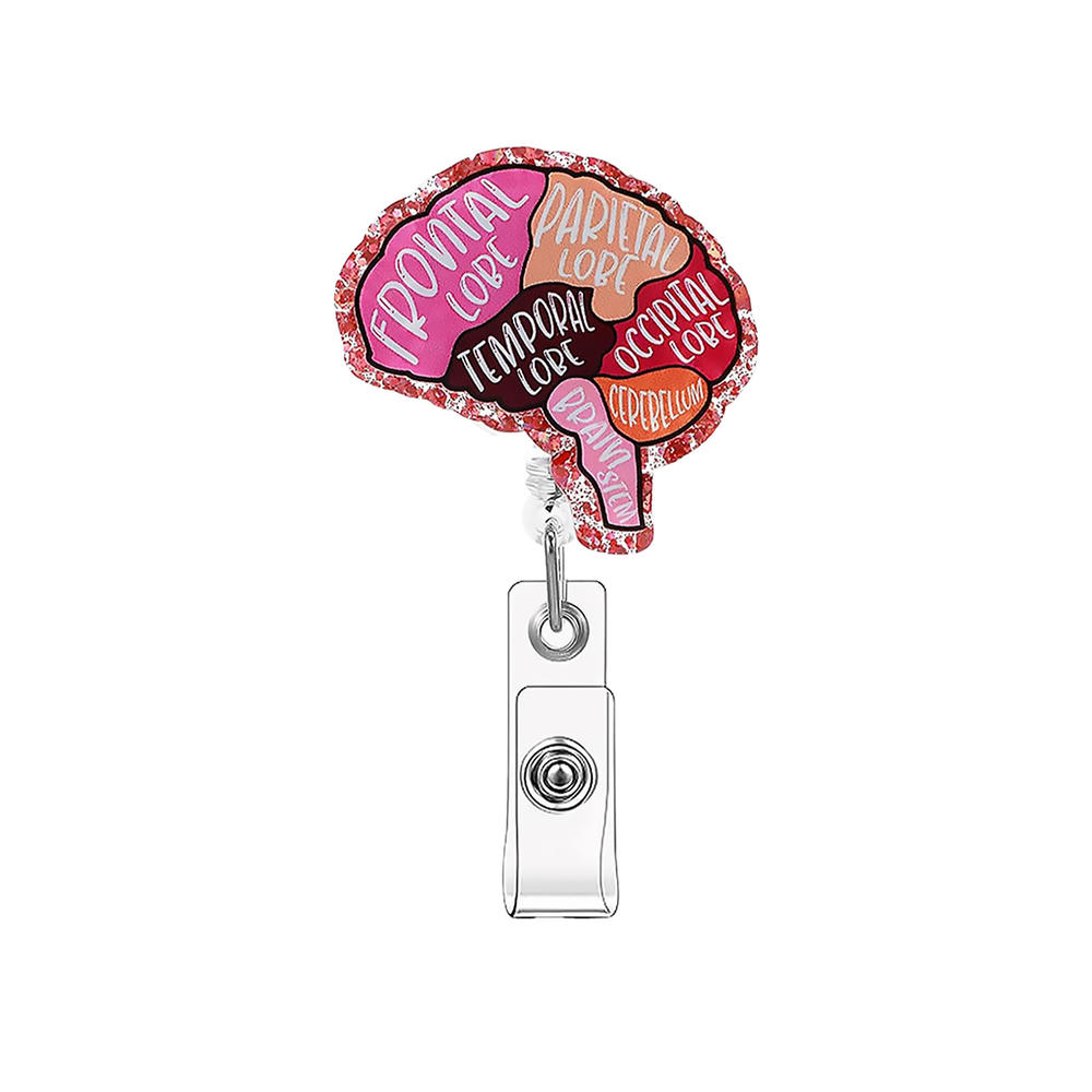 Acrylic Heart Lung Brain Kidney Retractable Pull Badge Reel For Nurse Doctor Id Lanyard Name Tag Key Ring Chain Clips Hospital
