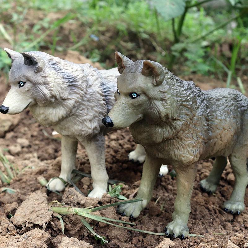 Wild Tibetan Wolf Children's Cognition Model - Large Gray Wolf Ornament