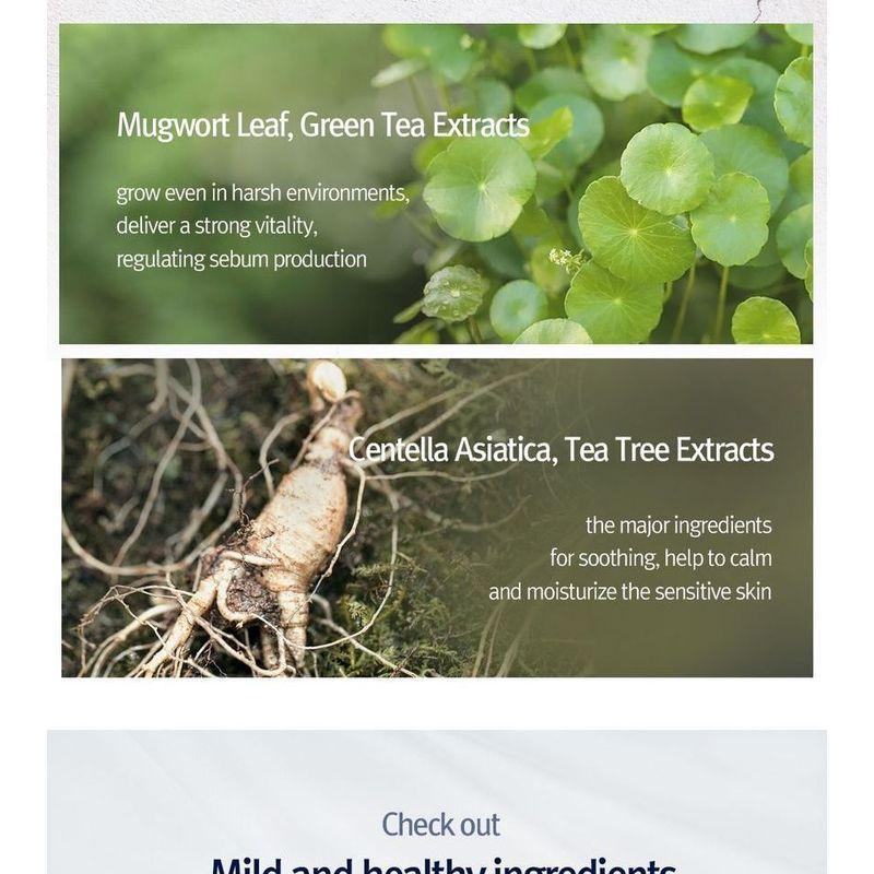 Pyunkang Yul - Highly Moisturizing Essence Mask Pack Set