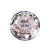 Cappuvini Natural Plumping Matte Highlight Powder for Three-Dimensional Face Brightening