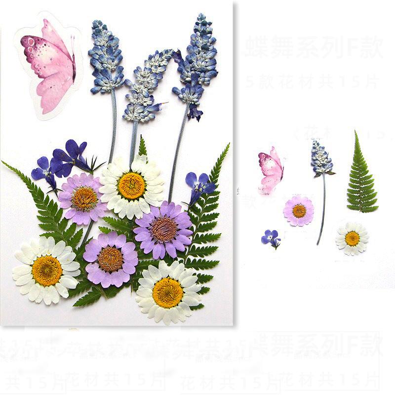 Diy Handmade Embossed Bookmarks 6 Colors Dried Flower Embossing Kit Dried Flower Hand Paste Face Makeup Leaf Veins Dried Flowers