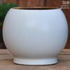 Vaso per Succulente in Ceramica Grezza Fatto a Mano - Fioriera Orchidea Intagliata con Ampia Bocca