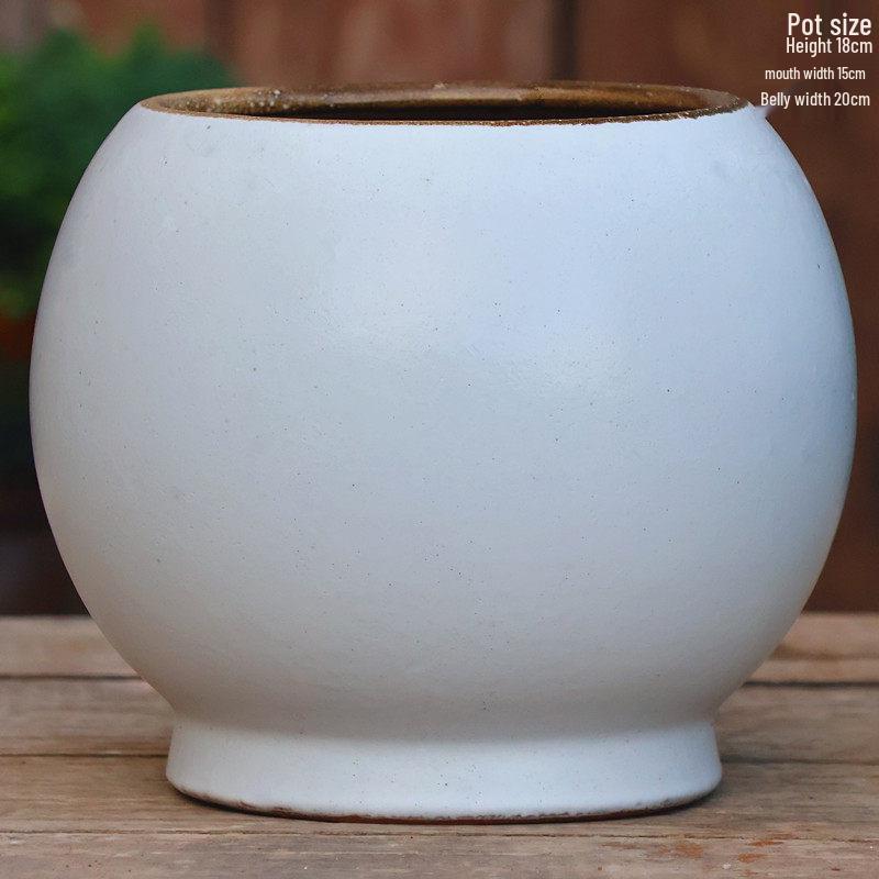 Vaso per Succulente in Ceramica Grezza Fatto a Mano - Fioriera Orchidea Intagliata con Ampia Bocca