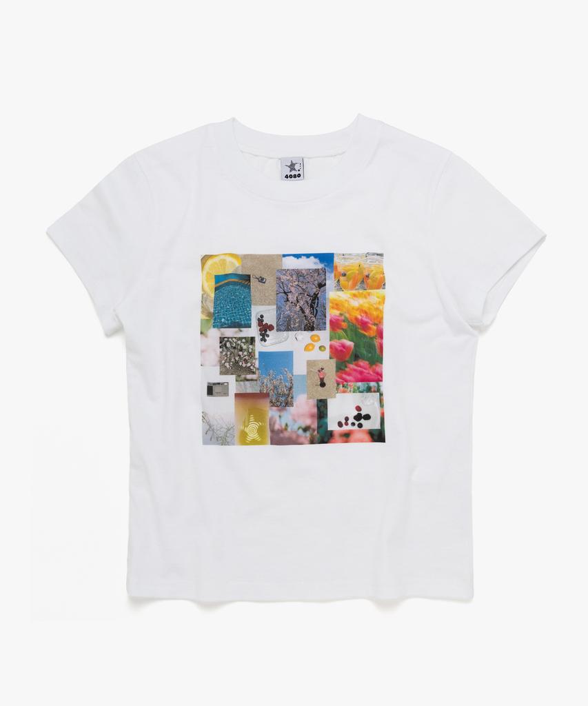 WEBHOUSE [4080X Web House] Twister Collage Angel Tea - White