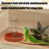 Multi Tiered Automatic Reptiles Water Dispenser Multifunctional Design Transparent Tanks Quiet Pump for Small Turtles