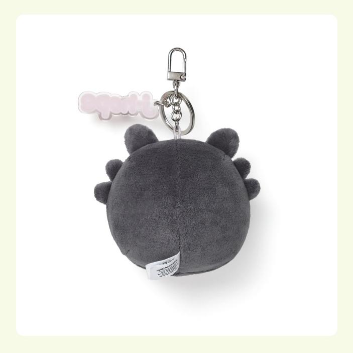 BTS კუნძული SEOM სახის გასაღების საკიდში