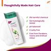 Himalaya Anti-Hair Fall Shampoo 340ml For Men And Women Reduces Hair Fall And Strengthens Hair With Bhringaraja And Palasha For Healthy Looking Hair