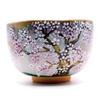 Matcha Tea Matcha Tea Gion Evening Cherry by Morishita Shusai Bowl, Bowl, Bowl, Kenzan, Blossoms,