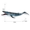Wild Big Shark Fish Model Large Whale Desktop Ornament Ocean Animal Statue  Educational Kids Toy