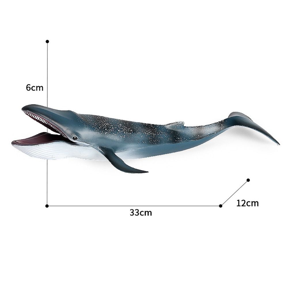 Wild Big Shark Fish Model Large Whale Desktop Ornament Ocean Animal Statue  Educational Kids Toy