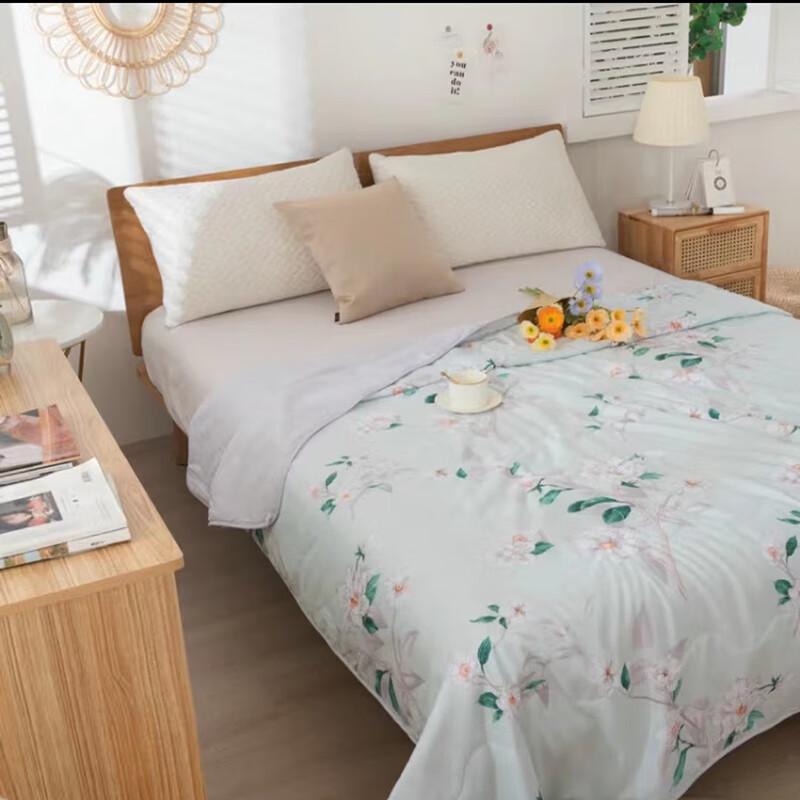 Dohxya Brushed Microfiber Washable Summer Quilt