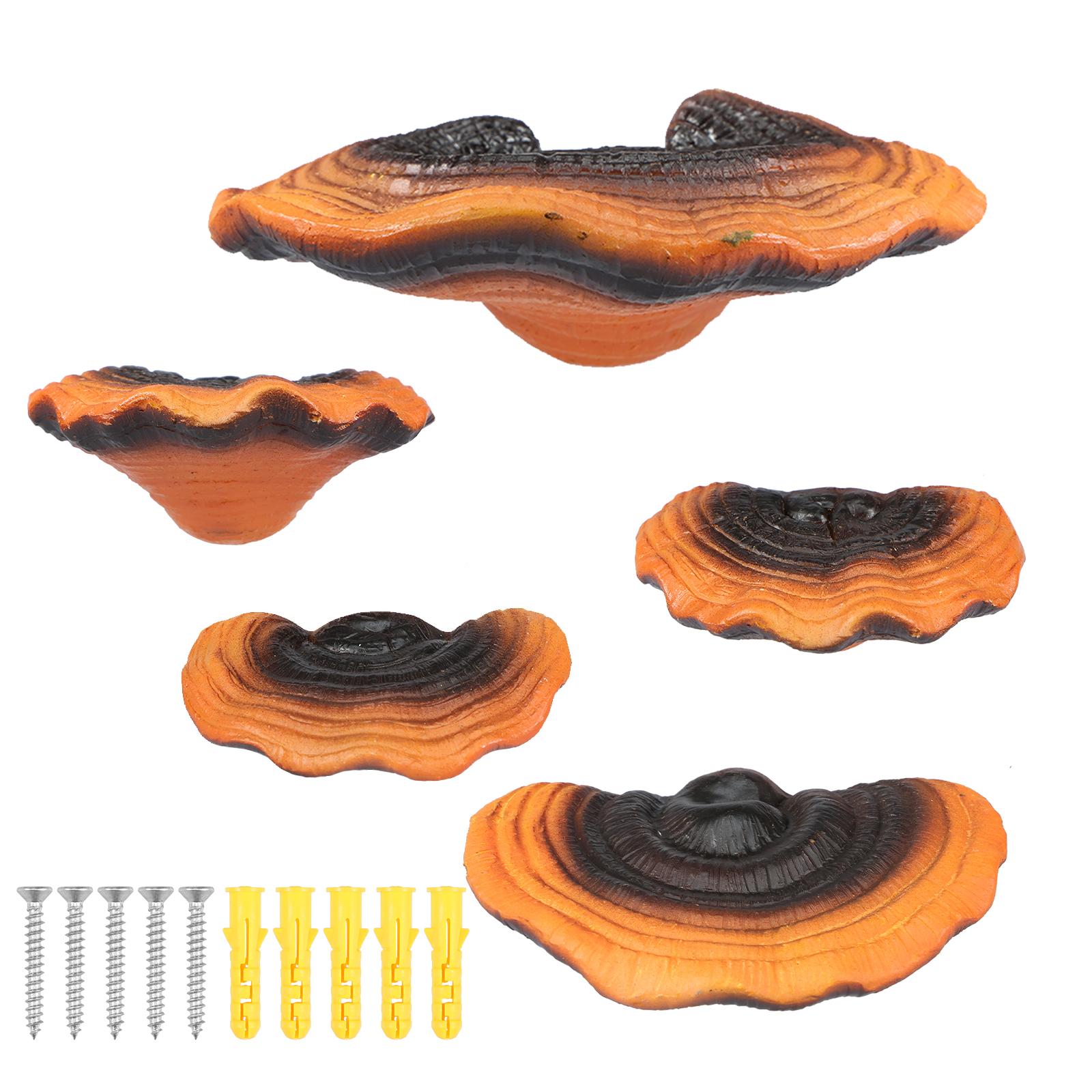 

5Pcs Mushroom Shelves Resin Mushroom Shelf Wall Decor Wall Hanging Gothic Home Wall Decor Room Decor Aesthetic Fantasy Mushroom