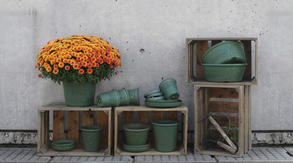 Hachimankasei Hanging Eco PotHanging Flowerpot 210 Mustard "Hachiman Gardenspapier"