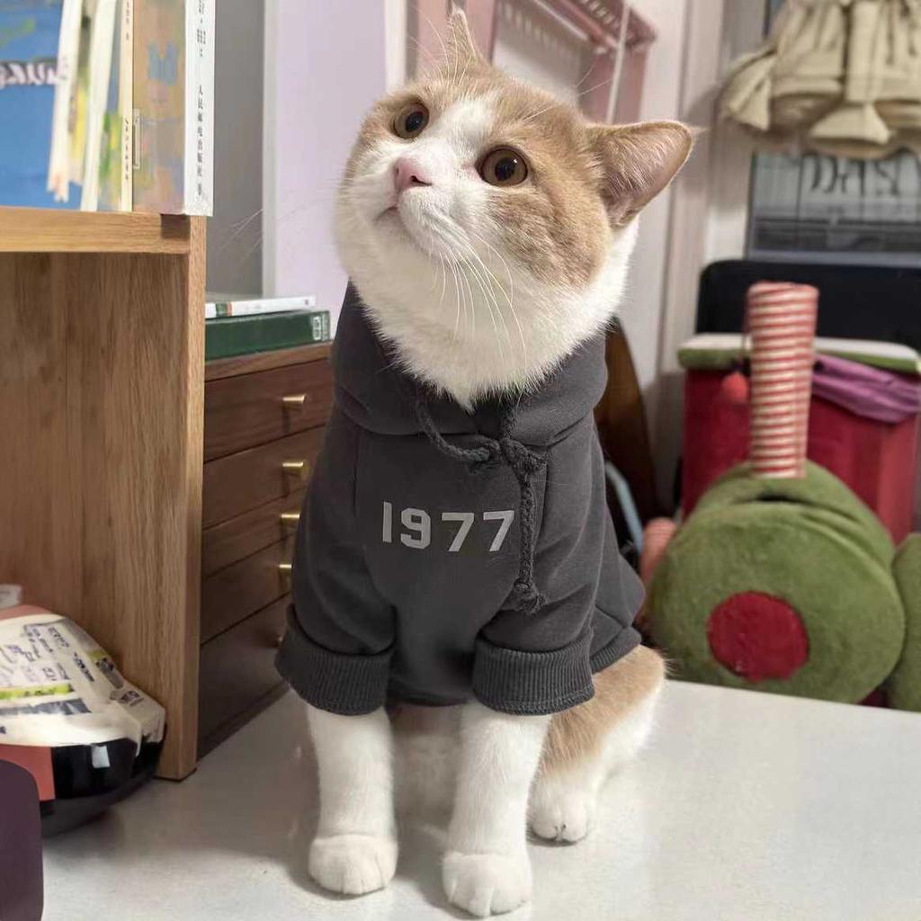 Pet clothes foreign style spring and autumn clothing pet dog dog cat blue cat puppet foreign style clothes cute thin velvet cat