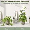 Adjustable PP Plant Support Structure For Flower Pots Climbing Roses Healthy Growth Of Ivies And Other Vine 5 Pack