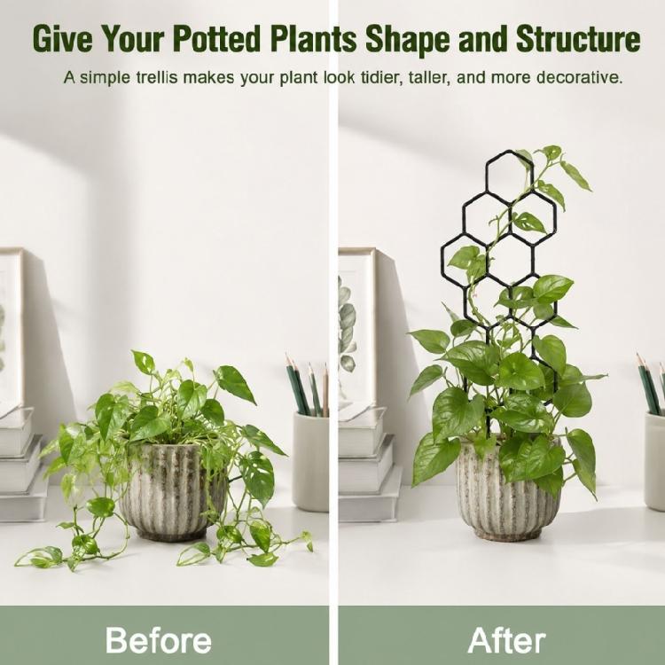 Adjustable PP Plant Support Structure For Flower Pots Climbing Roses Healthy Growth Of Ivies And Other Vine 5 Pack