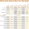 Dog and Puppy Pee Pads, 5-Layer Leak-Proof Super Absorbent, Quick-Dry Surface, Potty Training, Regular (22x22"), 100 Count, Blue & White