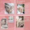 Dried Pampas Grass Dry Flowers Dried Flower Bouquet Dried Eucalyptus Pampas Grass Decor Tall Pampas White Pampas Grass