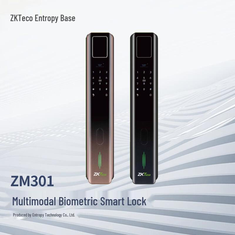ZKTECO Fingerprint Password Access Control & Attendance System CN plug (adapter included)