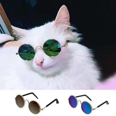 Katt Solglasögon Husdjurstillbehör Sommar Hundar Katter Glasögon Pälsvård Svart Grön