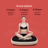 LDIWEI R180 Vibration Plate Fat Burning Machine CN Plug (adapter Included)