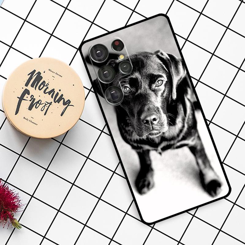 Schwarzer Labrador Hund Hülle Für Samsung Galaxy S24 FE S20 FE S21 S22 S23 S24 S25 Ultra S9 S10 S25 Plus Handyhülle